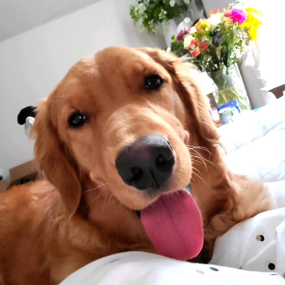 Meet your Posher, Song